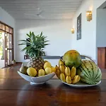 Beachfront Turtle House With Private Pool Zanzibarhouses