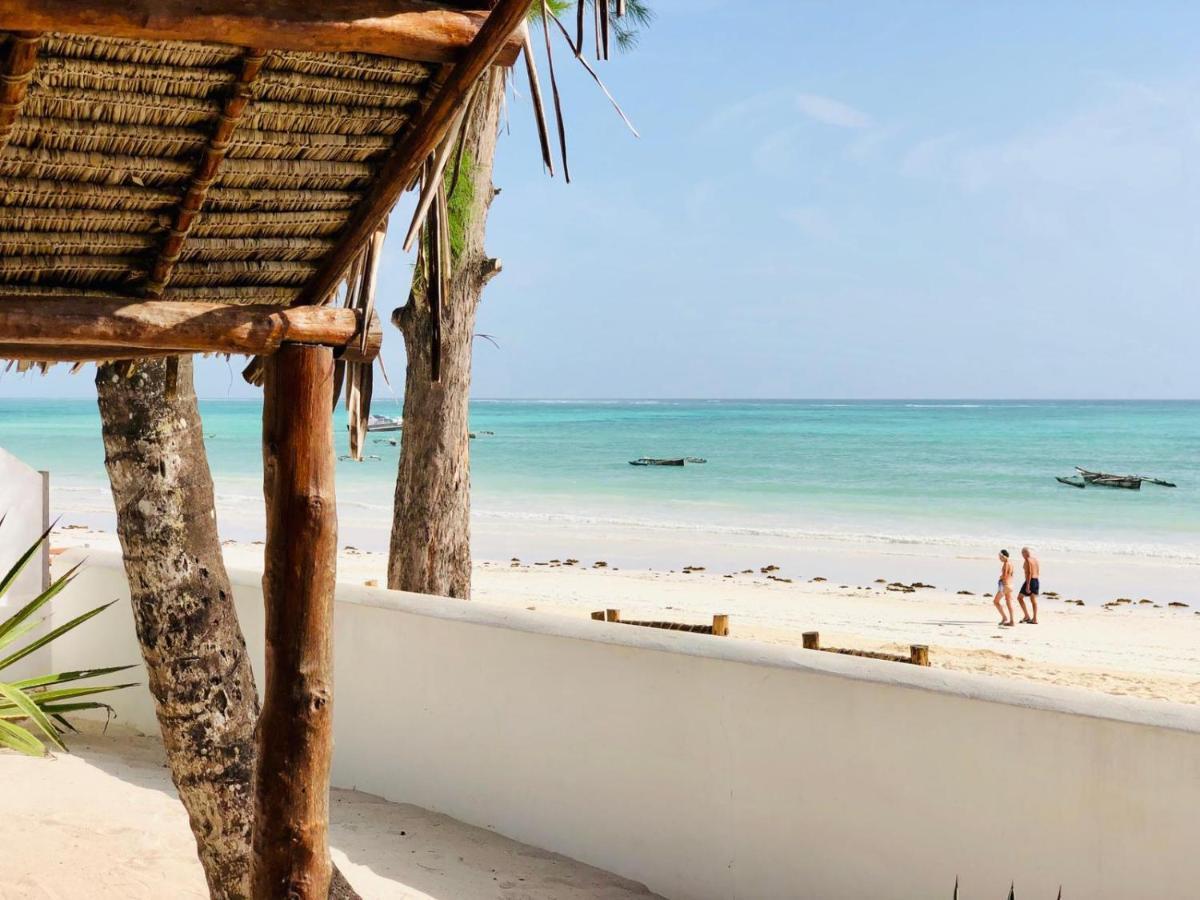 Villa Beachfront Turtle House With Private Pool Zanzibarhouses *