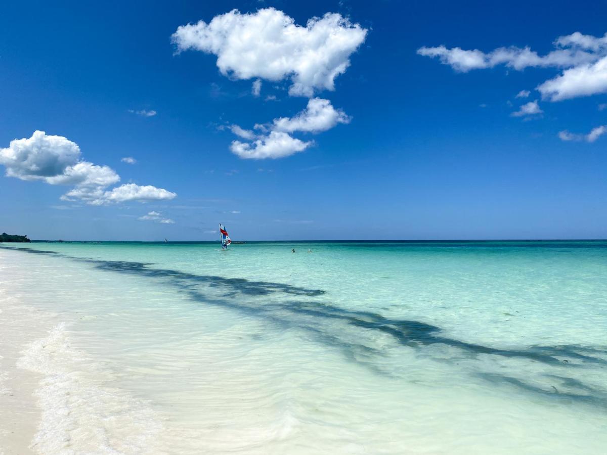 Beachfront Turtle House With Private Pool Zanzibarhouses Villa